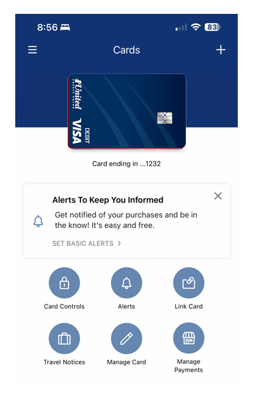 Card Controls App dashboard